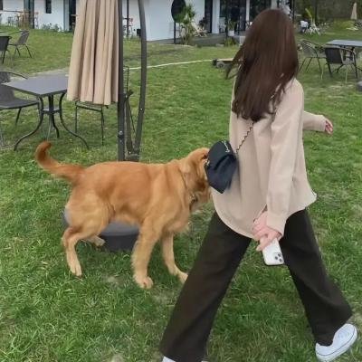 父亲劫